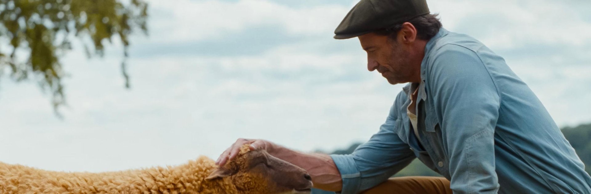 Alternate Text